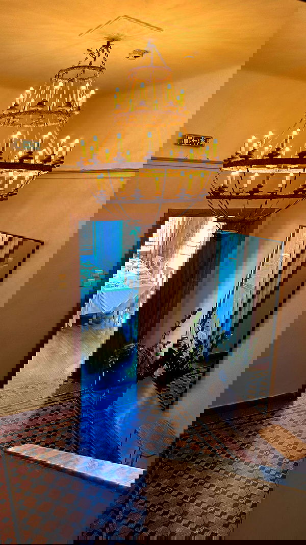 carolinezalog carolinezalog archive image