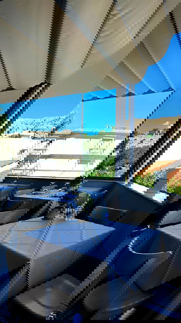 carolinezalog carolinezalog archive image