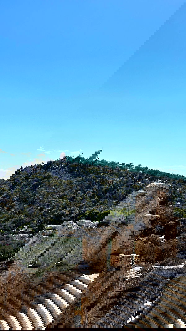 carolinezalog carolinezalog archive image