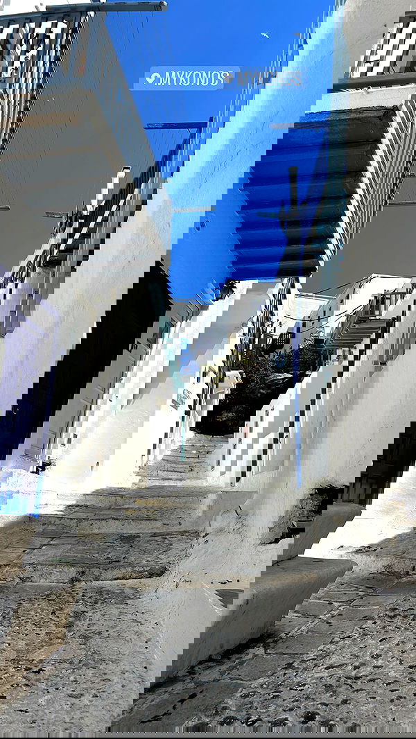 carolinezalog carolinezalog archive image