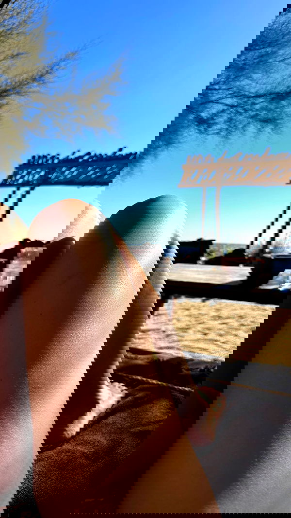 carolinezalog carolinezalog archive image