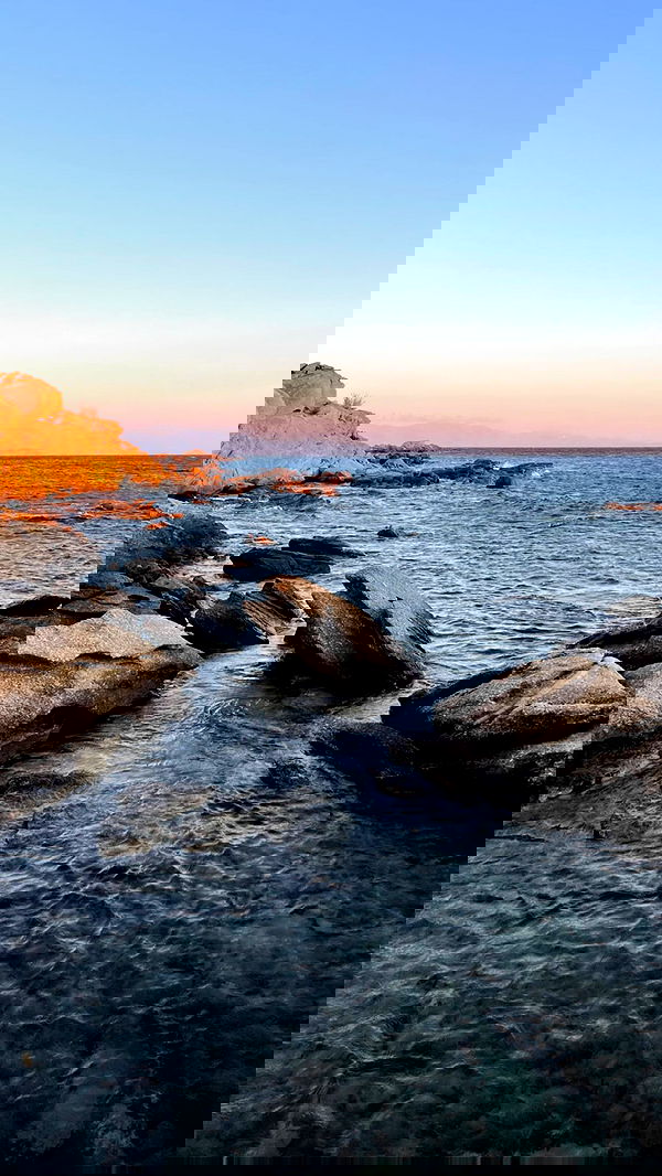 carolinezalog carolinezalog archive image