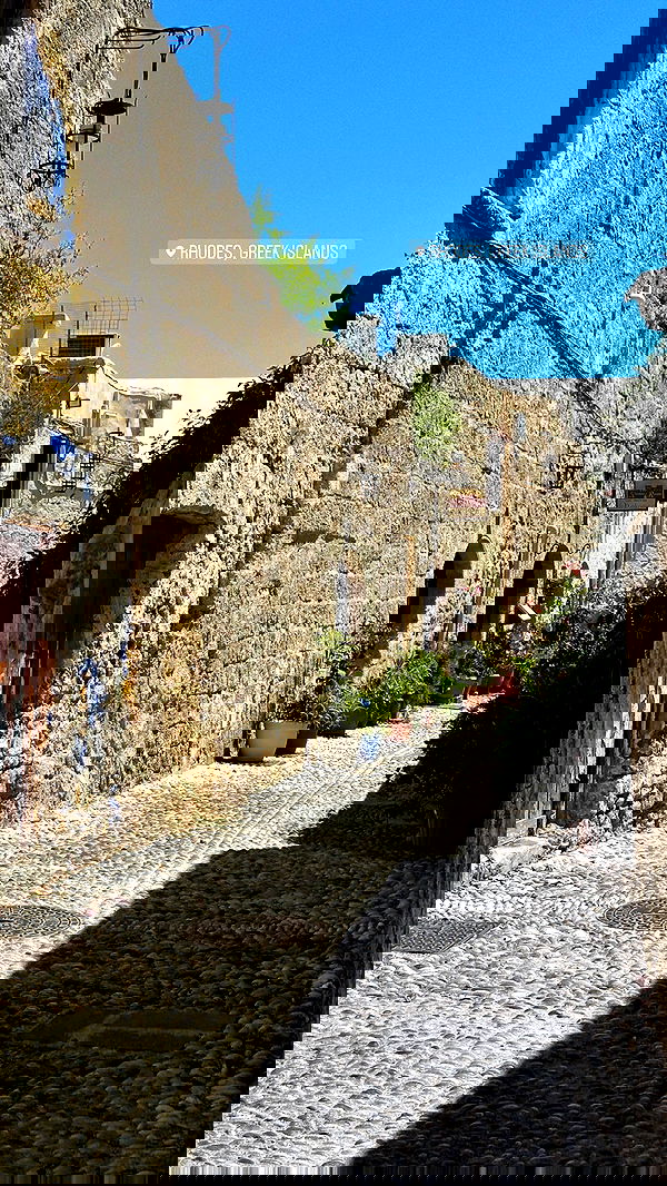 carolinezalog carolinezalog archive image