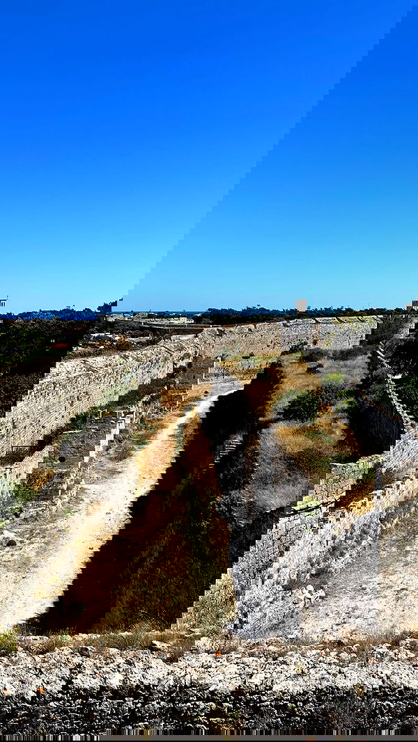 carolinezalog carolinezalog archive image