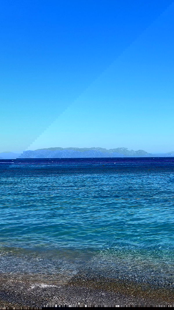 carolinezalog carolinezalog archive image