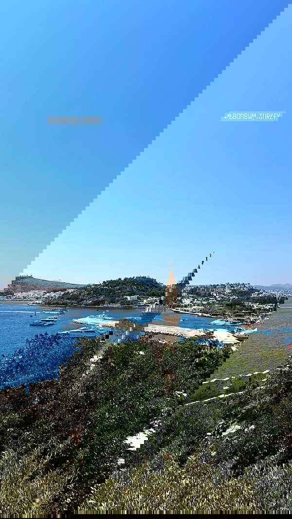 carolinezalog carolinezalog archive image