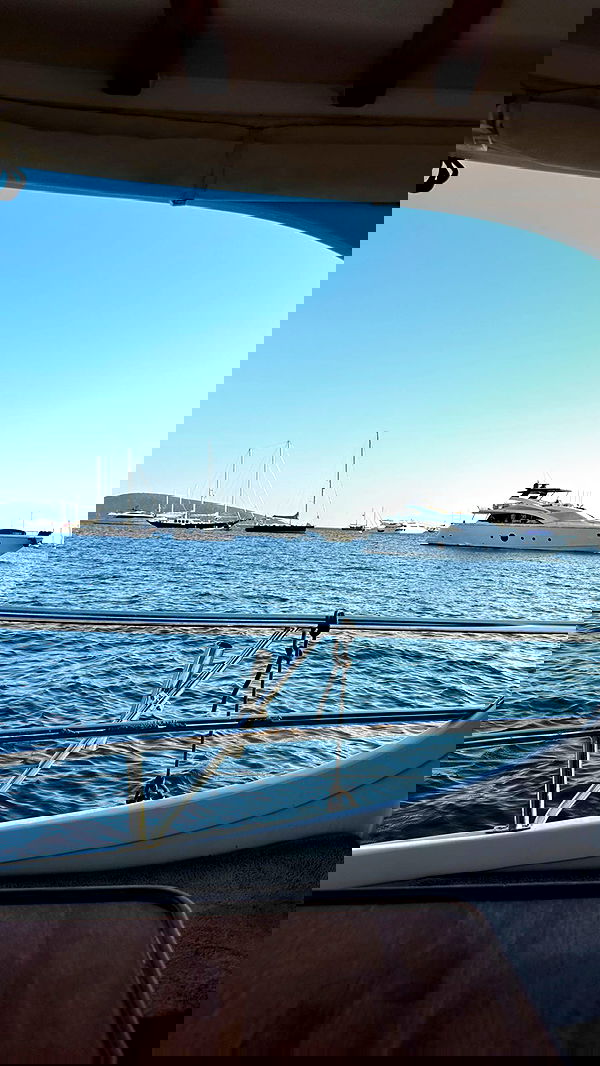 carolinezalog carolinezalog archive image