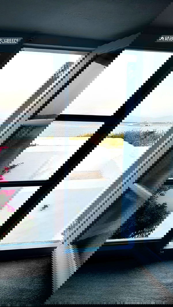 carolinezalog carolinezalog archive image