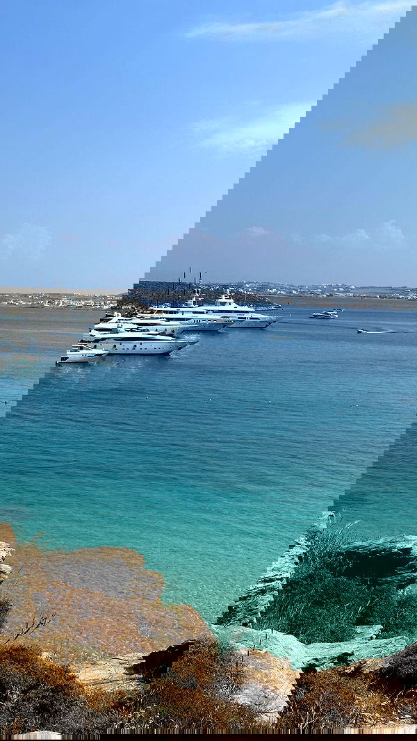 carolinezalog carolinezalog archive image