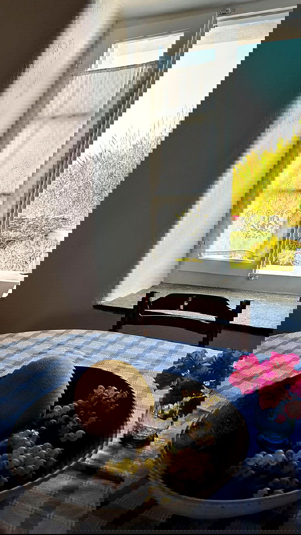 carolinezalog carolinezalog archive image