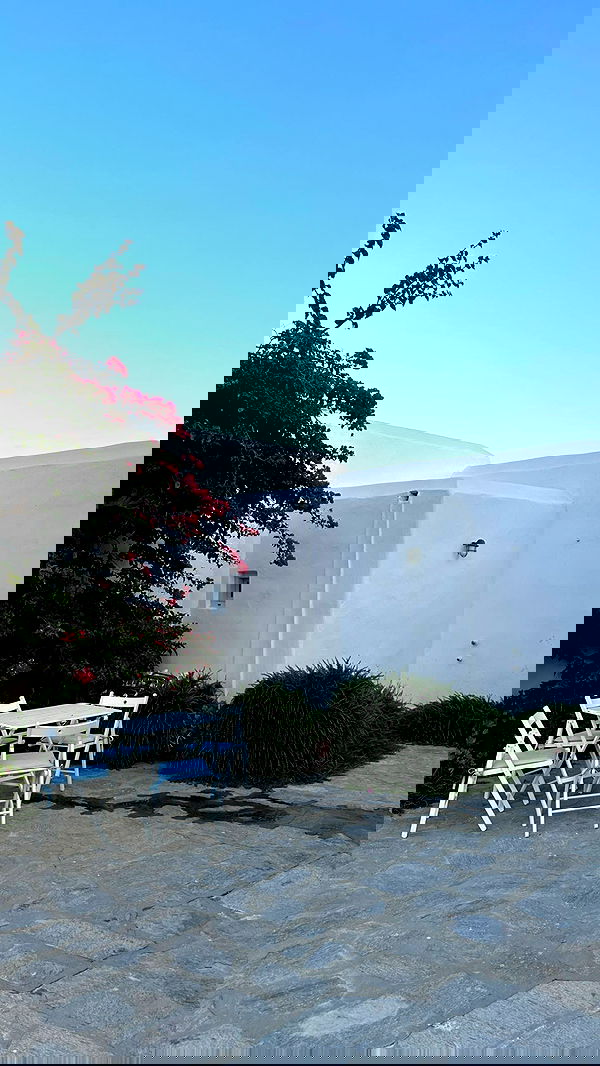 carolinezalog carolinezalog archive image