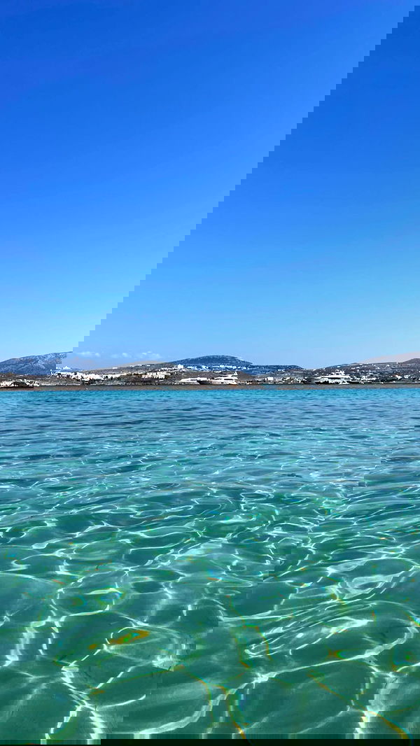 carolinezalog carolinezalog archive image