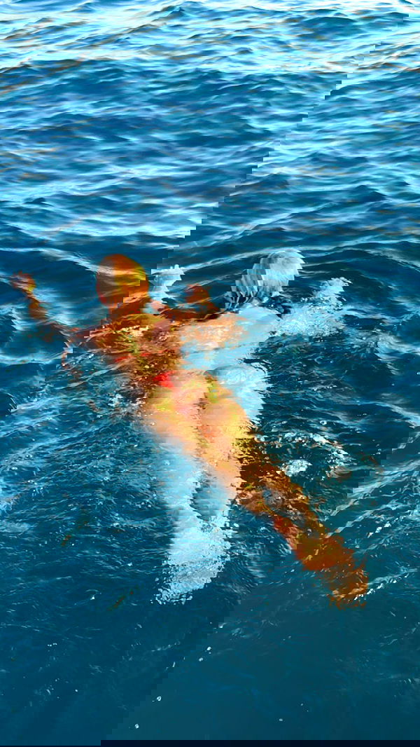 carolinezalog carolinezalog archive image