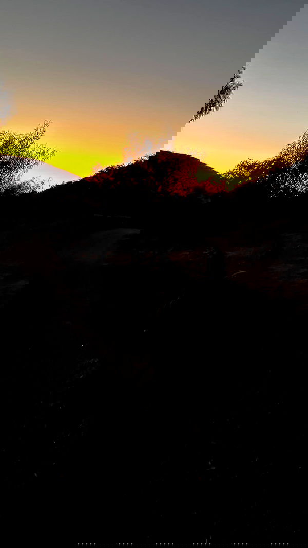 carolinezalog carolinezalog archive image