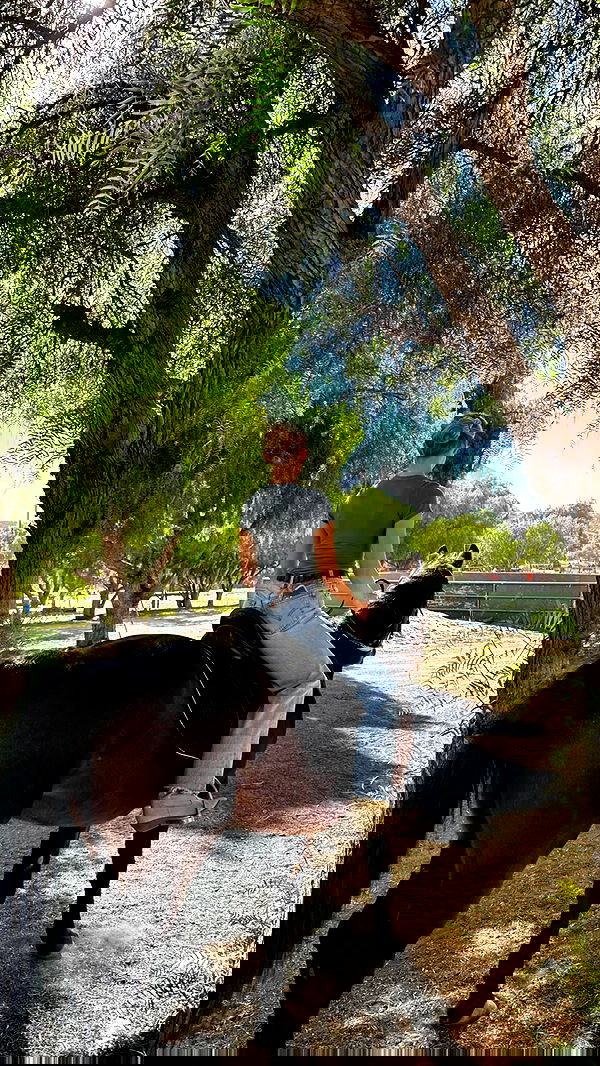 carolinezalog carolinezalog archive image