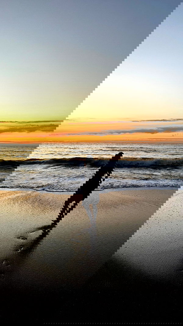 carolinezalog carolinezalog archive image