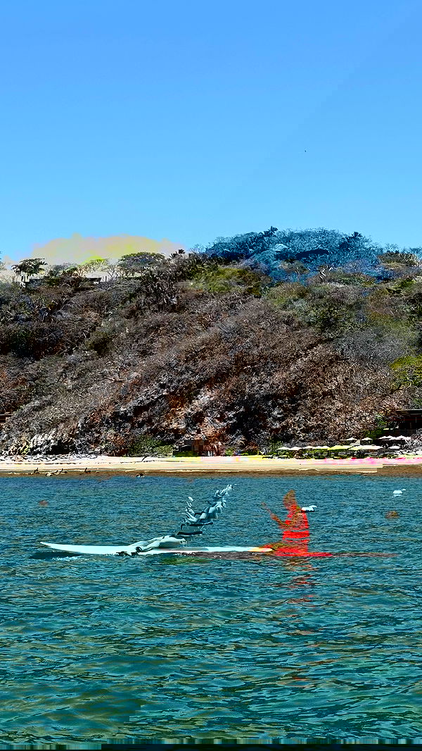 carolinezalog carolinezalog archive image