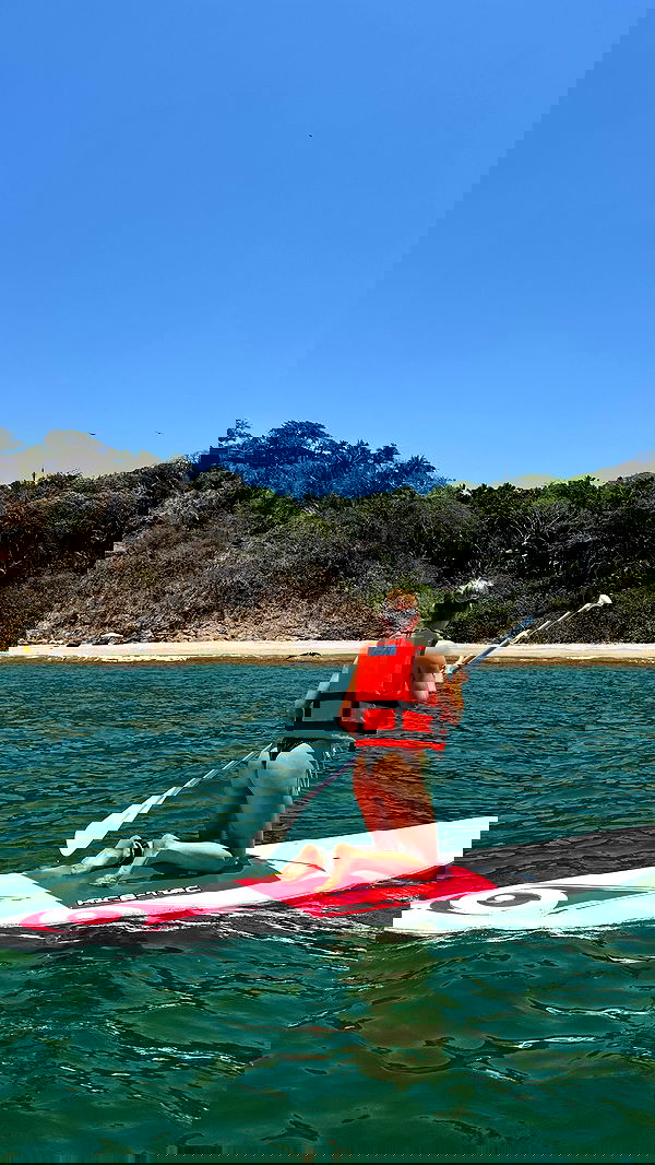 carolinezalog carolinezalog archive image