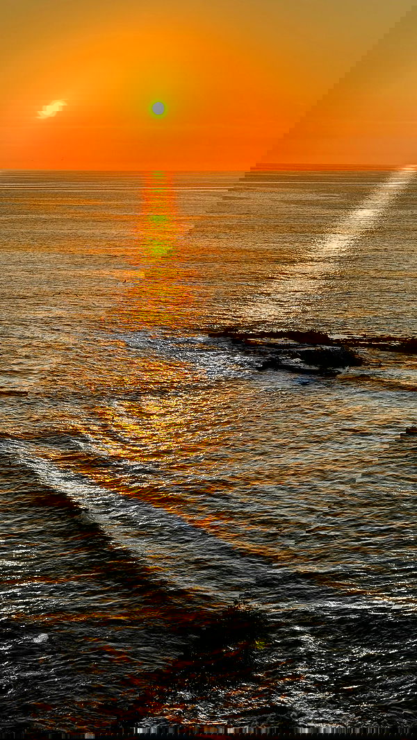 carolinezalog carolinezalog archive image