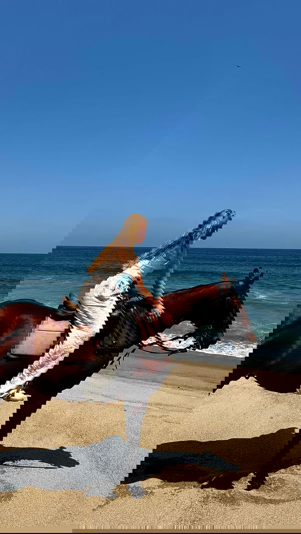 carolinezalog carolinezalog archive image