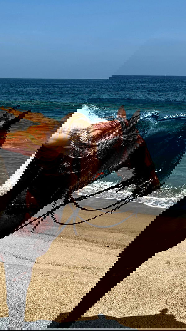 carolinezalog carolinezalog archive image