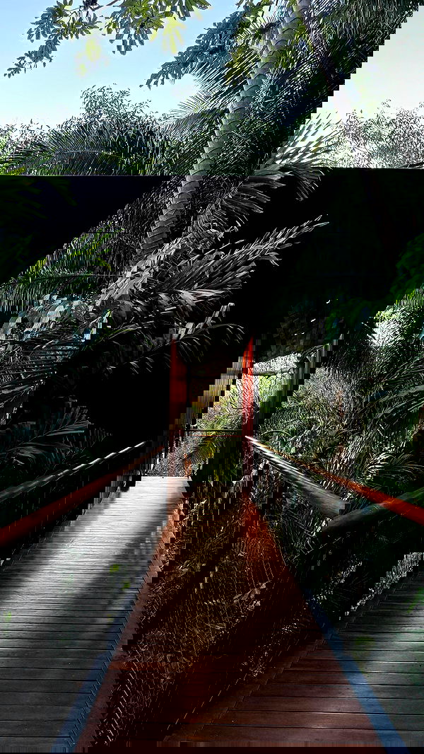 carolinezalog carolinezalog archive image