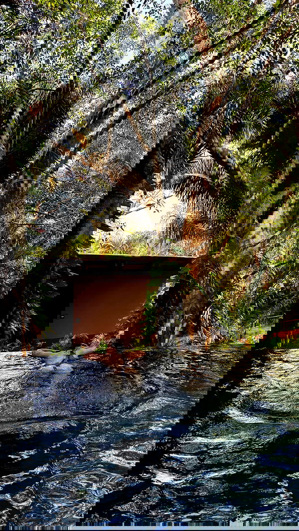 carolinezalog carolinezalog archive image