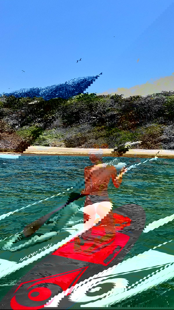 carolinezalog carolinezalog archive image