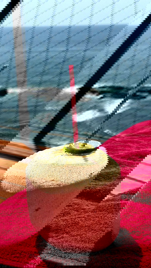 carolinezalog carolinezalog archive image