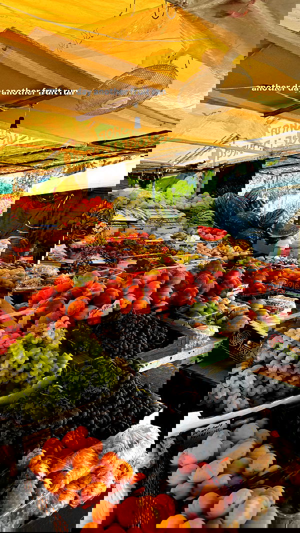 carolinezalog carolinezalog archive image