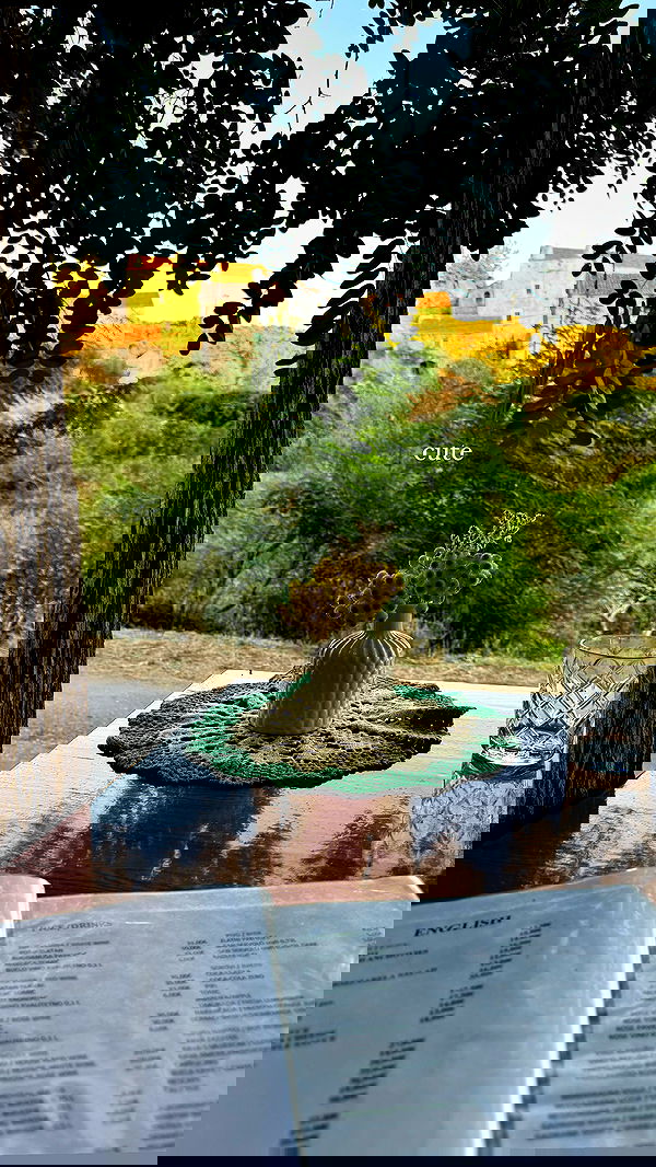 carolinezalog carolinezalog archive image