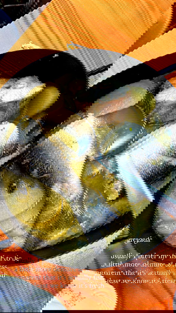 carolinezalog carolinezalog archive image