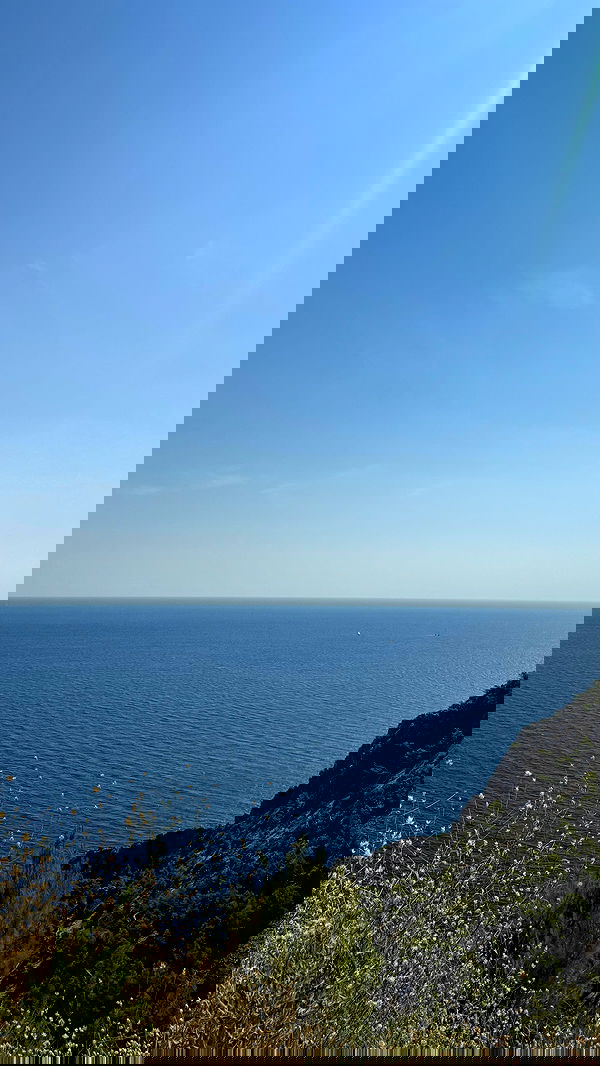 carolinezalog carolinezalog archive image