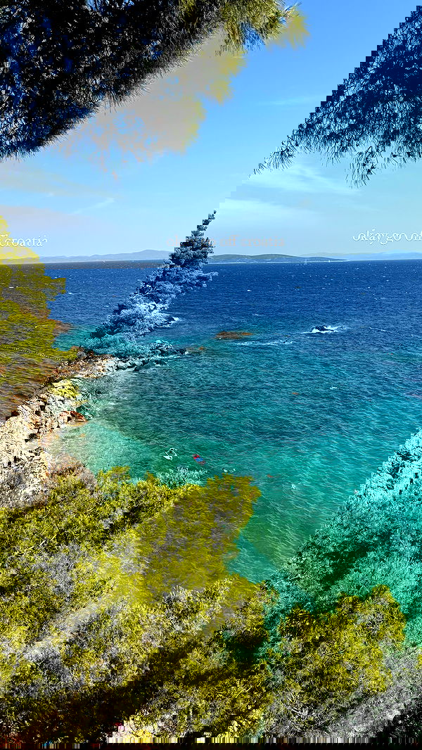 carolinezalog carolinezalog archive image