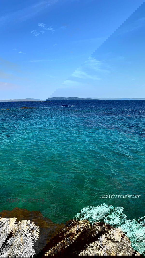 carolinezalog carolinezalog archive image