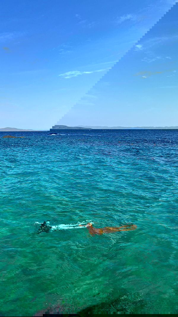 carolinezalog carolinezalog archive image