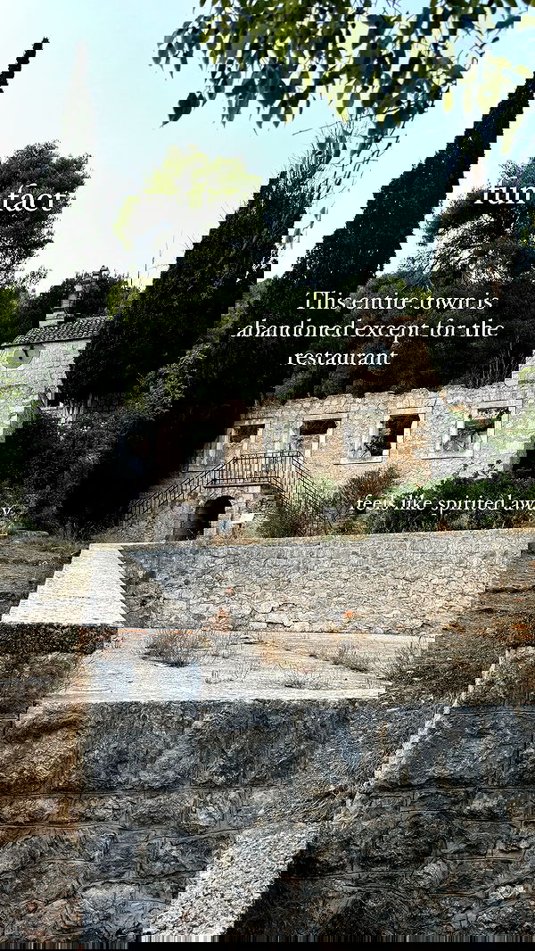 carolinezalog carolinezalog archive image