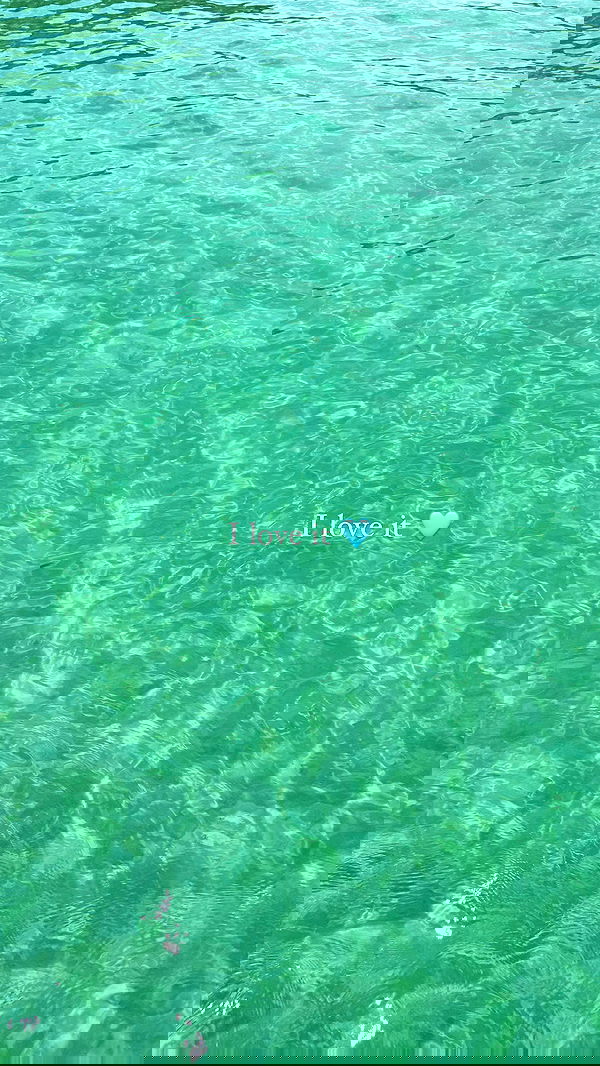 carolinezalog carolinezalog archive image