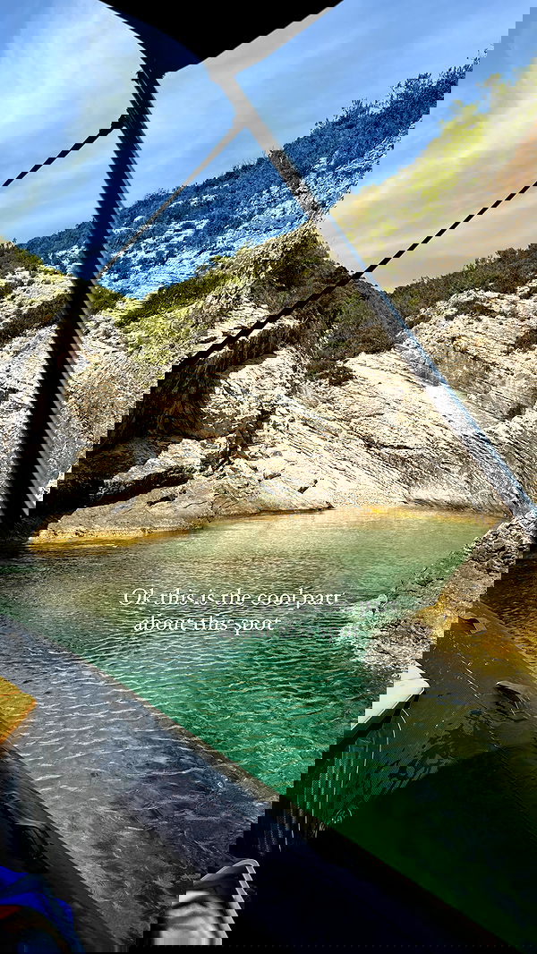 carolinezalog carolinezalog archive image