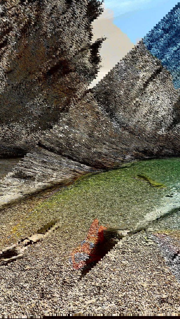 carolinezalog carolinezalog archive image