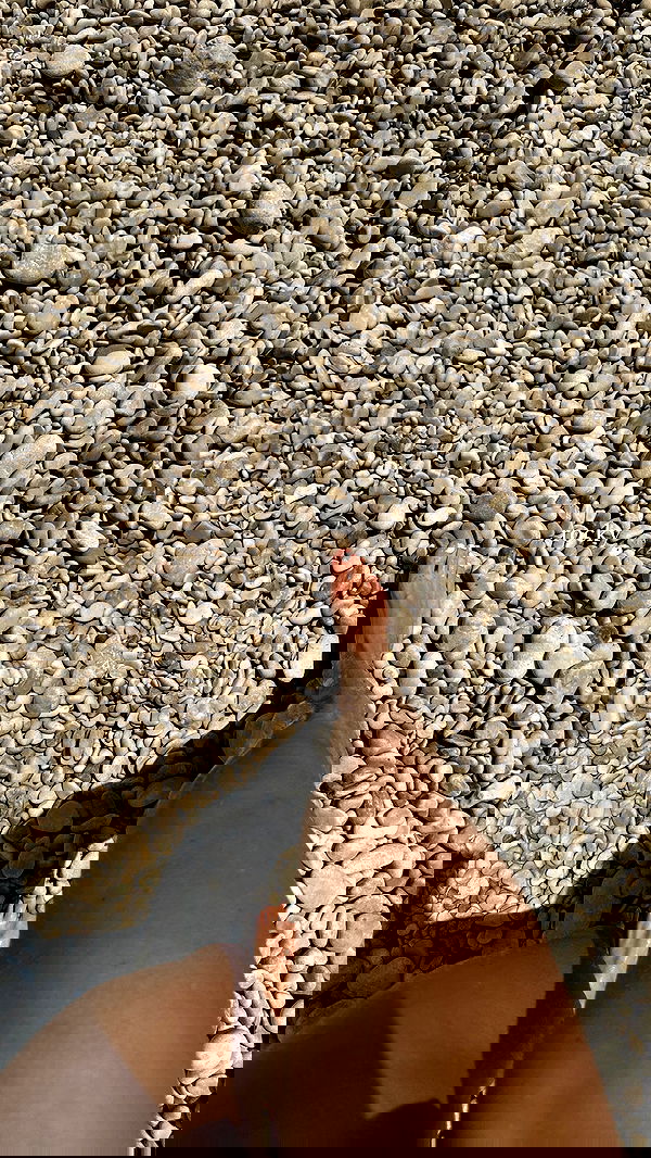 carolinezalog carolinezalog archive image