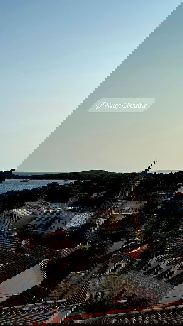 carolinezalog carolinezalog archive image