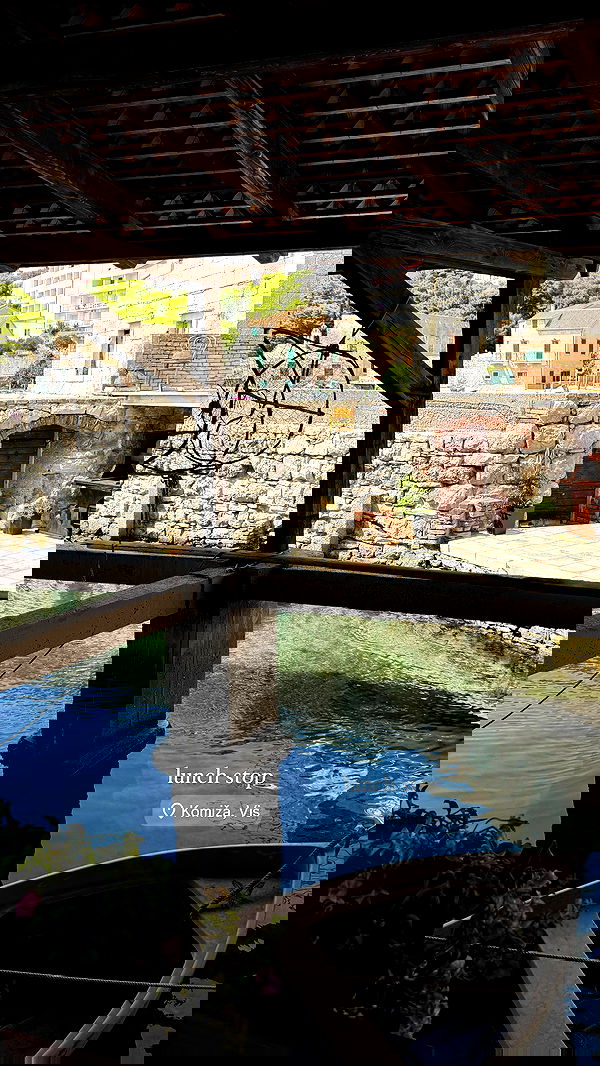 carolinezalog carolinezalog archive image