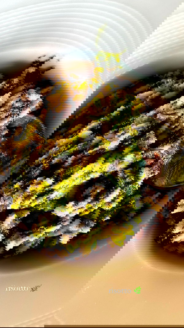 carolinezalog carolinezalog archive image