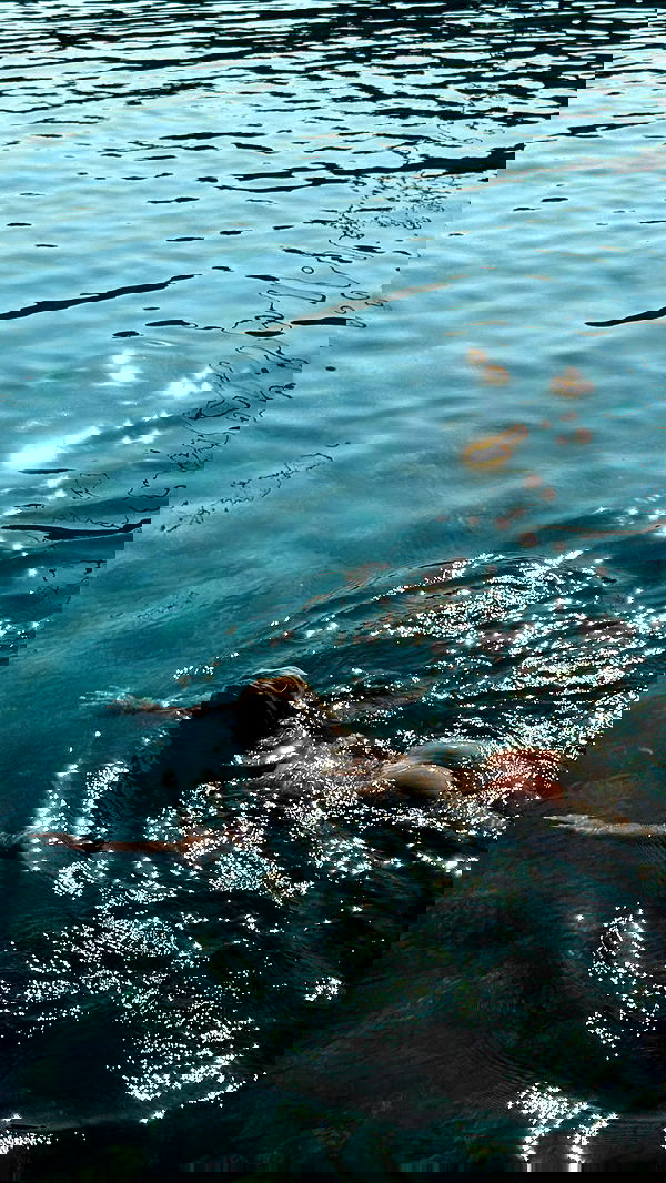 carolinezalog carolinezalog archive image