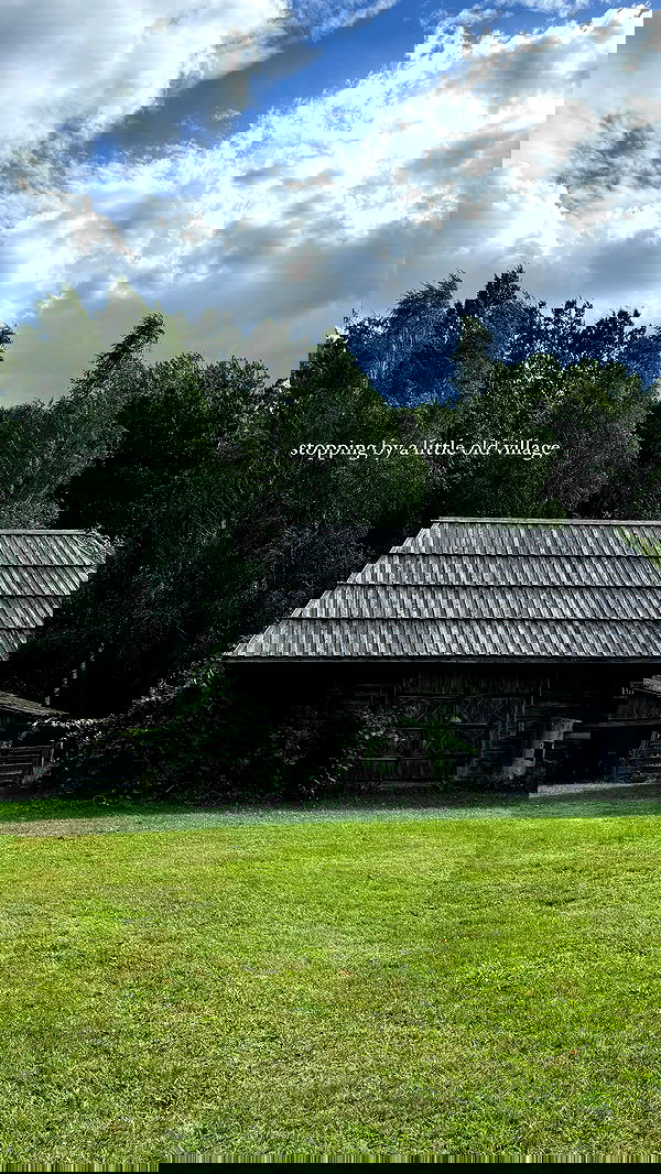 carolinezalog carolinezalog archive image