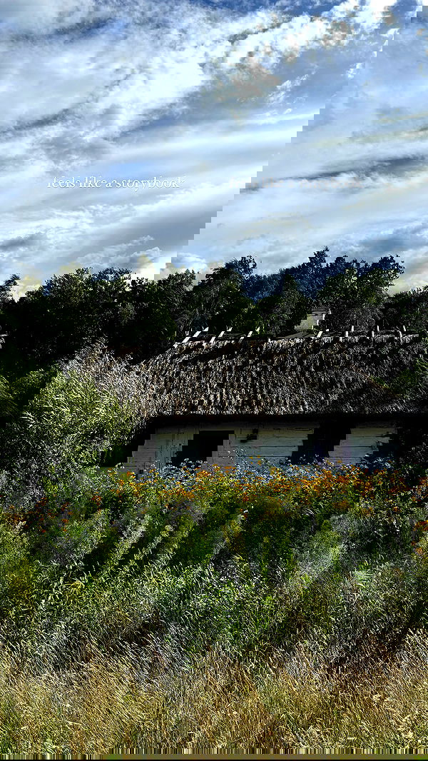 carolinezalog carolinezalog archive image