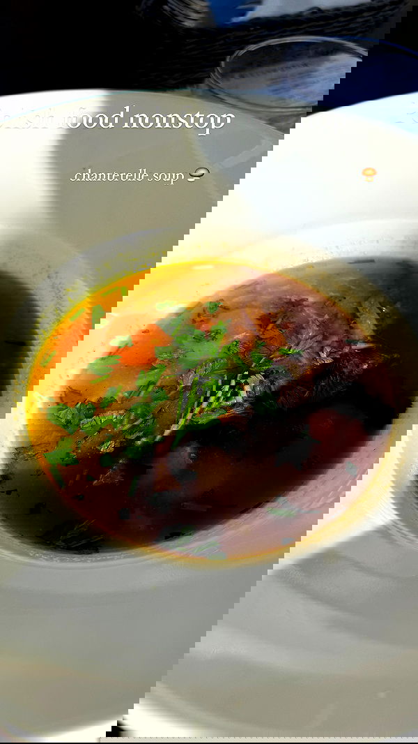 carolinezalog carolinezalog archive image