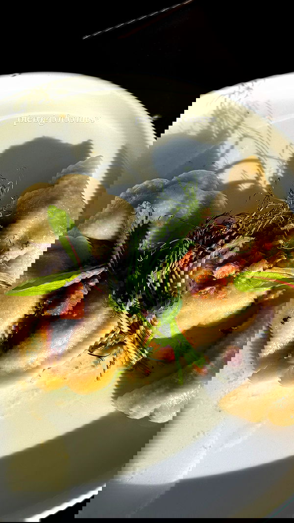 carolinezalog carolinezalog archive image