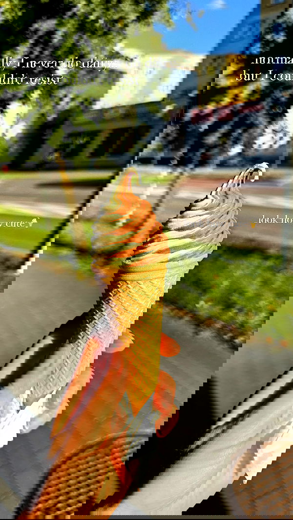 carolinezalog carolinezalog archive image